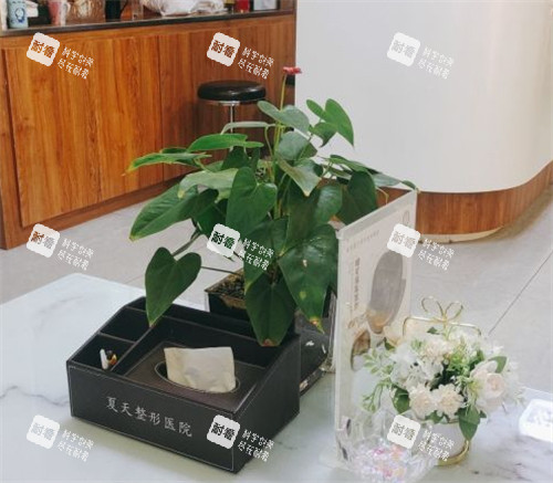 赤峰夏天医疗美容等候区环境图 赤峰夏天医疗美容等候区环境图