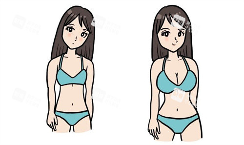 隆胸前后对比卡通