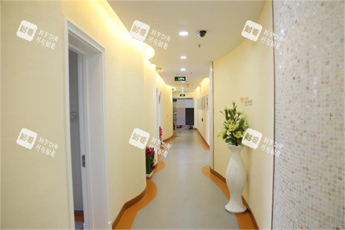 沈阳杏林整形走廊展示
