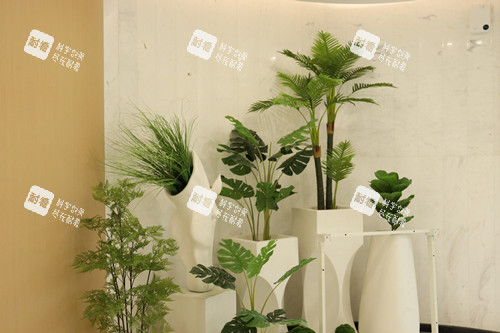 成都军大整形内部一角 成都军大整形内部一角