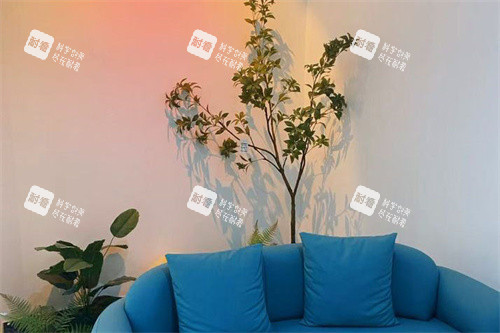 保定华怡美医疗美容休息区 保定华怡美医疗美容休息区