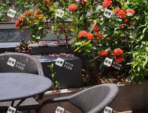 深圳南雅整形医院外部休息区环境