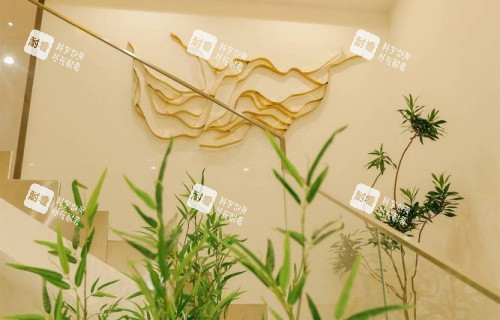 深圳伽美贝拉整形楼梯处示意图