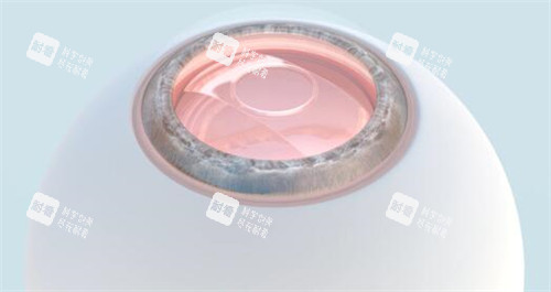 眼球展示图照片