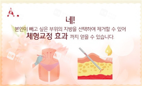 提取脂肪过程图解