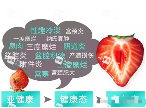 菲蜜丽解问题图示