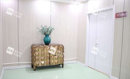 烟台洛神医疗美容医院VIP室