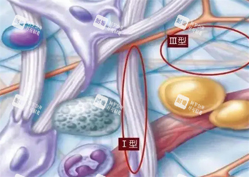 什么是重组胶原蛋白