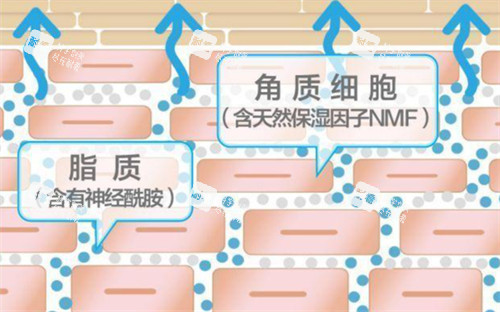 皮肤保湿后的样子