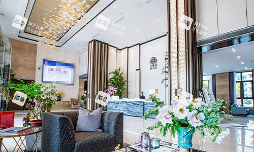 上海生命树整形等待区环境 上海生命树整形等待区环境