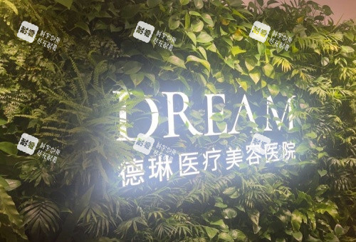 上海德琳整形logo示意图