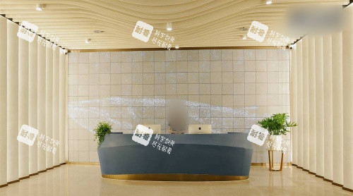 深圳伽美贝拉整形前台示意图