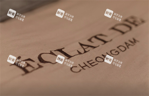 韩国eclatde皮肤科LOGO