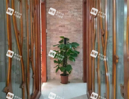 上海爱丽姿整形走廊环境图