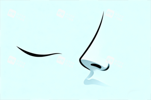 隆鼻卡通图展示