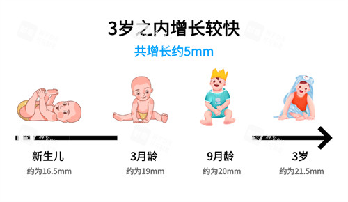 眼轴长度与近视对照表3岁之内增长较快 眼轴长度与近视对照表3岁之内增长较快