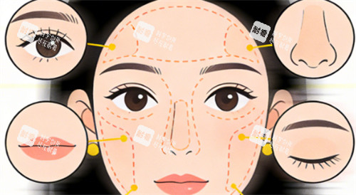 面部可做整形手术