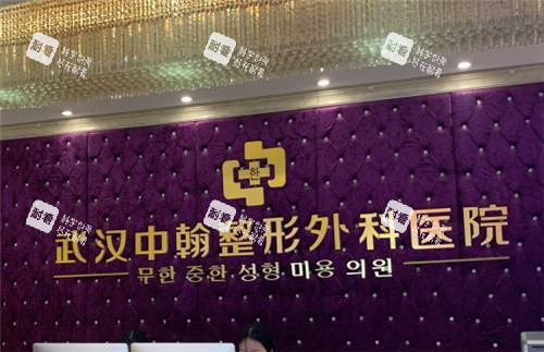 武汉中翰整形logo