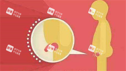 阴茎短小演示动画图