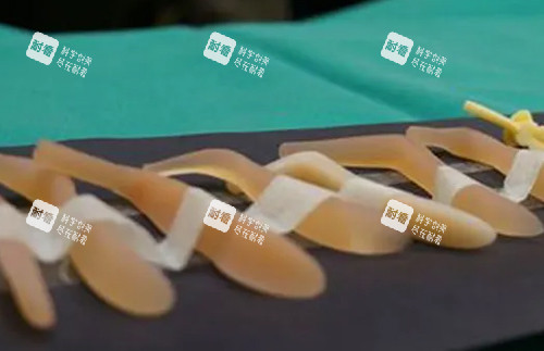 硅胶隆鼻假体照片