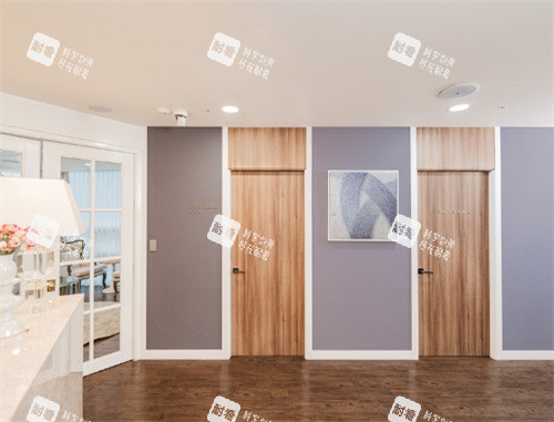 韩国elev皮肤科环境图