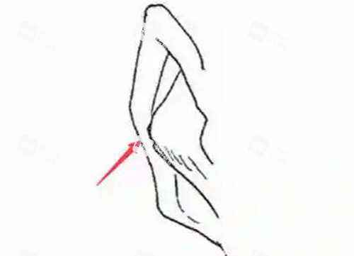 耳朵内贴卡通照片