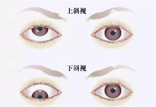微信截图_20230928114836