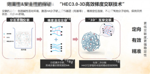 薇琳卓悦玻尿酸技术原理