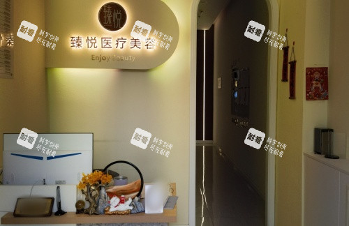 邢台臻悦整形前台logo示意图