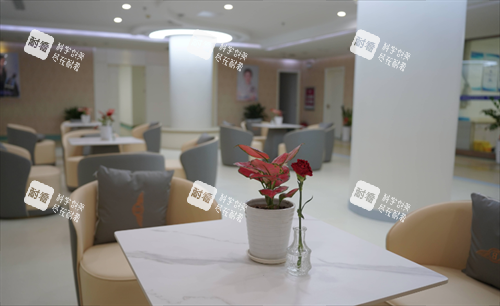 济南海峡整形的大厅