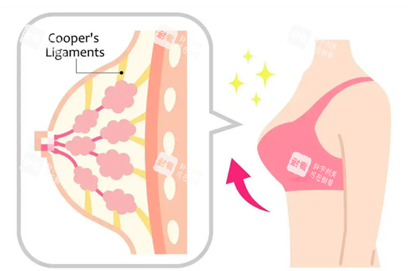 隆胸手术后展示图