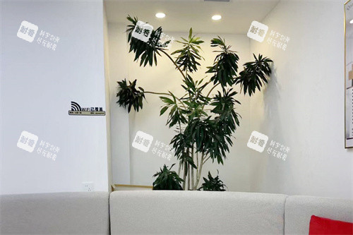 沈阳七悦一美医疗美容大厅休息区