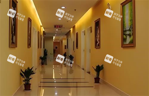 武汉五洲整形过道环境图