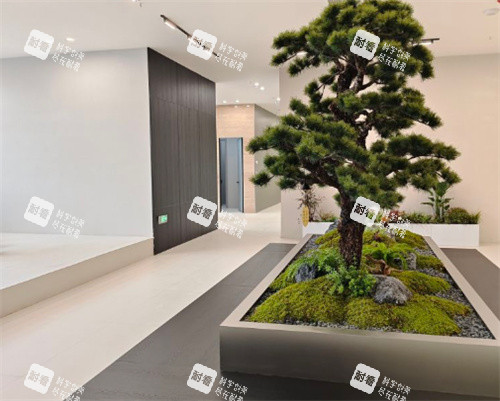 泰州小鹿医疗美容大厅一角