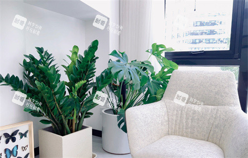 北京颂美医疗美容双井沙发