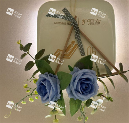 深圳恒研医疗美容护理室手办