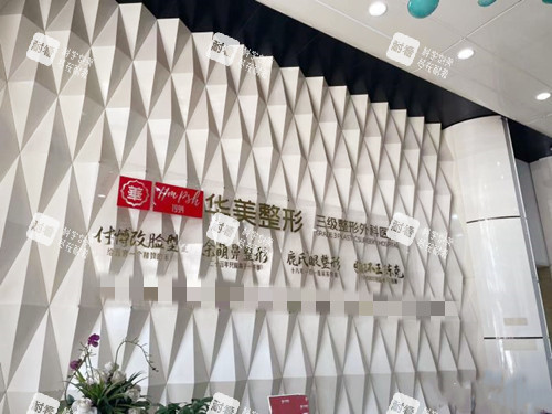 武汉华美整形logo墙