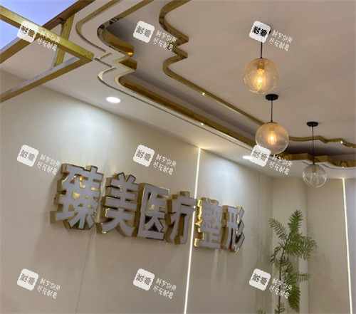 鹤壁臻美医疗美容logo图案