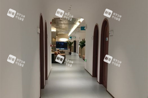洛阳缔莱美整形内部过道环境示意图