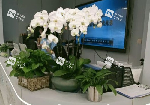 成都丝恒植发服务区示意图