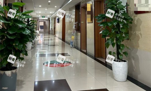 重庆骑士医院走廊图展示