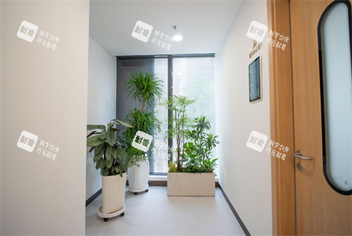 郑州威兹曼医疗美容走廊