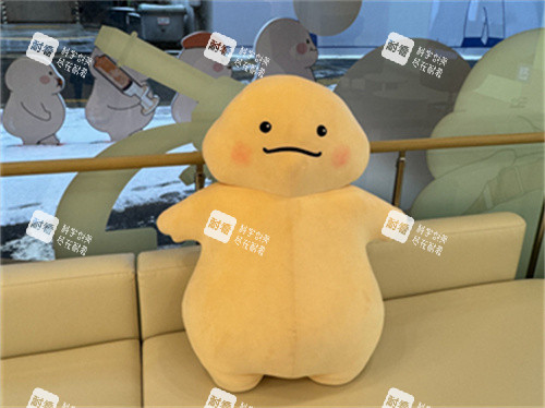 韩国365mc医院素材