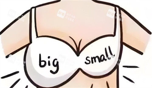 乳房大小对比