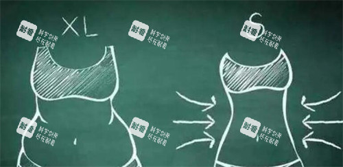 腹壁整形卡通对比展示