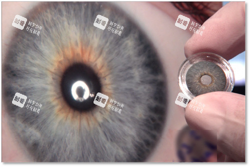 人工虹膜晶体实物