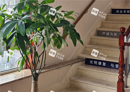 大连中爱眼科楼梯环境图