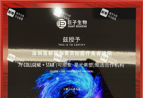 深圳伽美贝拉整形可丽星合作机构示意图