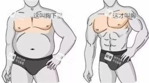男性胸部对比 男性胸部对比