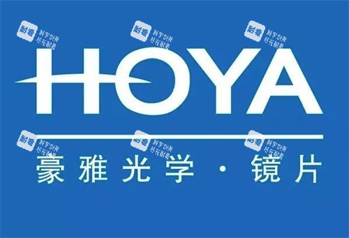 豪雅镜片LOGO